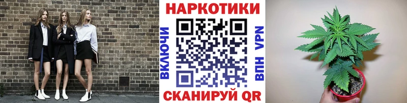 A PVP Миллерово